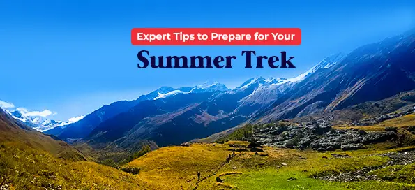 Expert Tips to Prepare for Your Summer Trek